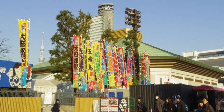 Tokyo: Sumo Tournament Tour with Chair Seat Tickets - What the English Guide Adds During the Matches
