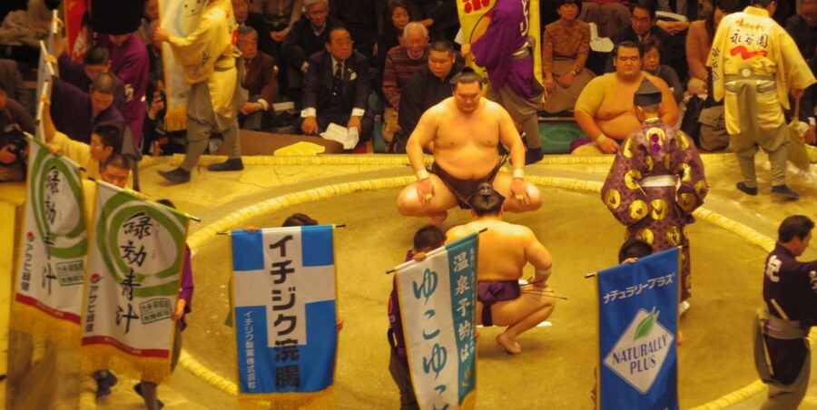 Tokyo: Sumo Tournament Tour with Chair Seat Tickets - Sumo Fan Cheer Kit, and How to Cheer Like You Belong