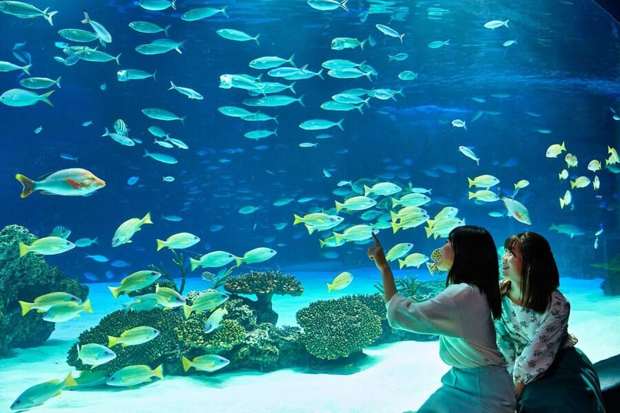 Tokyo: Sunshine Aquarium Entry Ticket - Sunshine Aquarium, Ikebukuro’s Rooftop Oasis