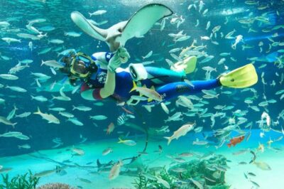 Sunshine Aquarium Entry Ticket