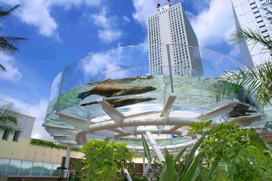 Tokyo: Sunshine Aquarium Entry Ticket - Should You Book Sunshine Aquarium?