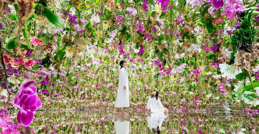 Tokyo: teamLab Planets TOKYO Digital Art Museum Entry Ticket - Who should go, and who should skip for safety and comfort