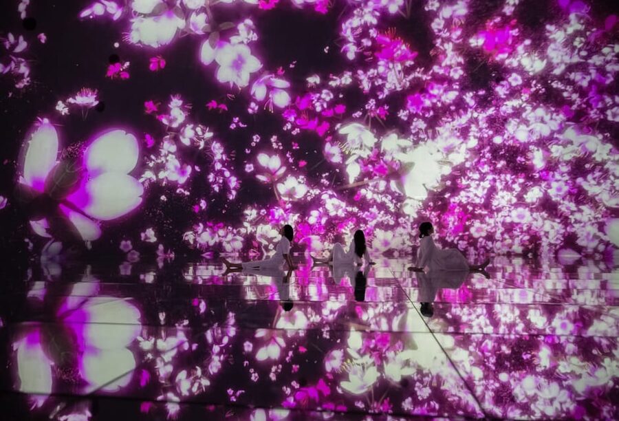 Tokyo: teamLab Planets TOKYO Digital Art Museum Entry Ticket - The Water Gallery: why this is the highlight for so many people