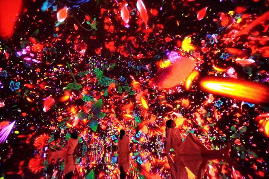 Tokyo: teamLab Planets TOKYO Digital Art Museum Entry Ticket - Falling flowers and flower petal walls: the effect that stops you mid-walk