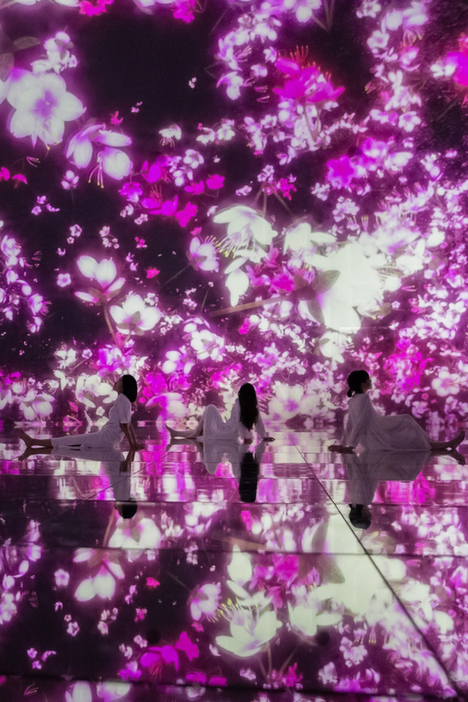 Tokyo: teamLab Planets TOKYO Digital Art Museum Entry Ticket - Price and value for $25 per person entry