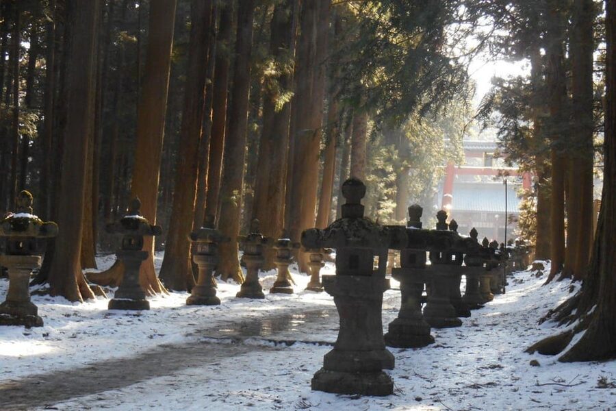 Tokyo To Mount FUJI Day Trip With English guide - Lake Kawaguchi boat cruise and cable car views, peak-season timing matters