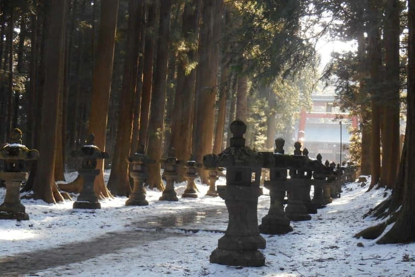 Tokyo To Mount FUJI Day Trip With English guide - Fuji Subaru Line 5th Station at about 2,300 metres: the high-altitude payoff