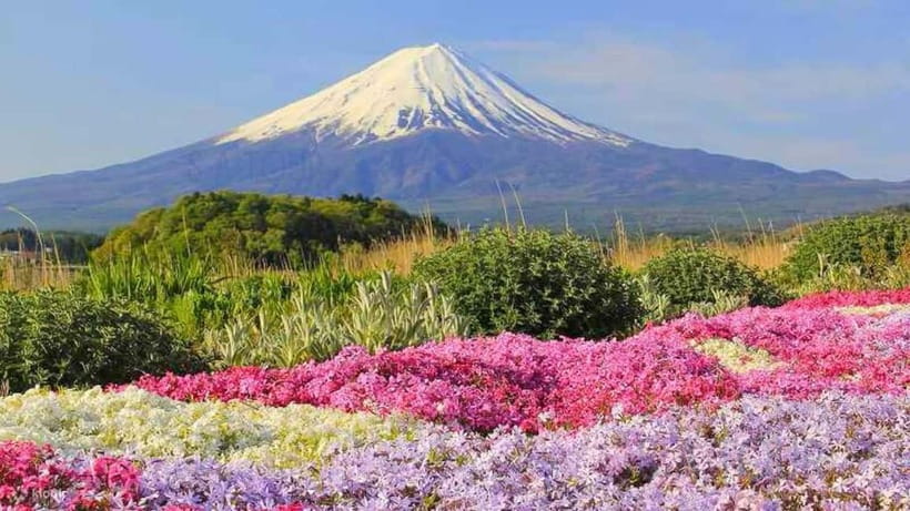 Tokyo To Mount FUJI Day Trip With English guide - Gotemba Premium Outlets and a Hakone boat cruise photo stop