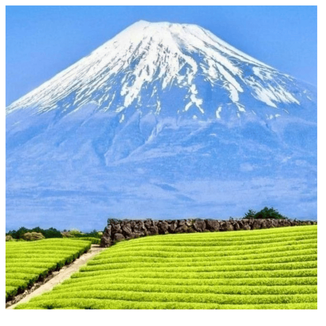 “Tokyo to Mt. Fuji & Hakone: Private Customizable Day Trip” - A Tokyo-to-Fuji-and-Hakone plan that feels calm