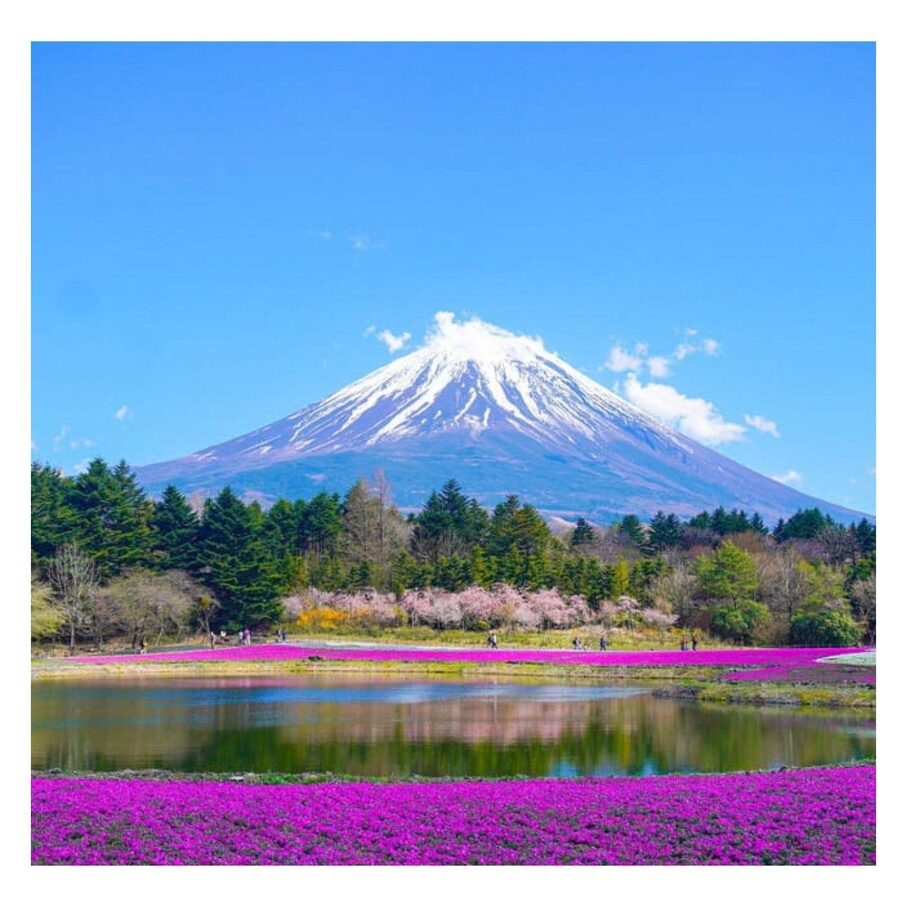 “Tokyo to Mt. Fuji & Hakone: Private Customizable Day Trip” - Timing the Fuji morning: start early, expect clouds