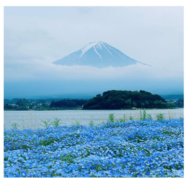 “Tokyo to Mt. Fuji & Hakone: Private Customizable Day Trip” - Lake Ashi and Hakone scenery: calm water, easy pacing