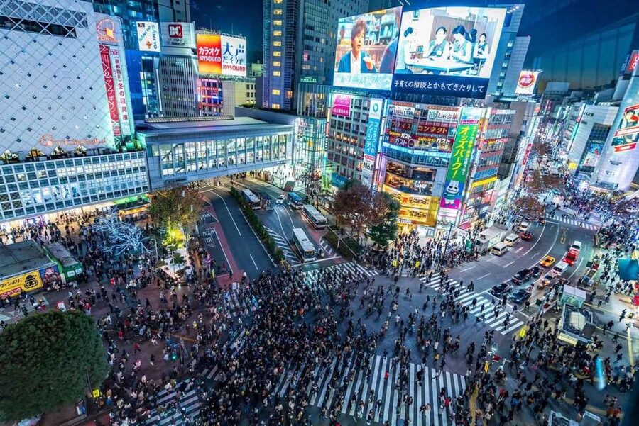 Tokyo: Tokyo Private Day Tour With Guide - Tokyo Skytree: big views, extra tickets to plan for