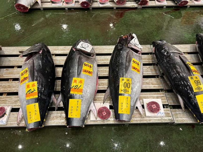 Tokyo Toyosu Tuna Auction + Breakfast (Sushi Dai or Bentomi) - Toyosu at 5:25 AM, why it feels like a Tokyo tradition