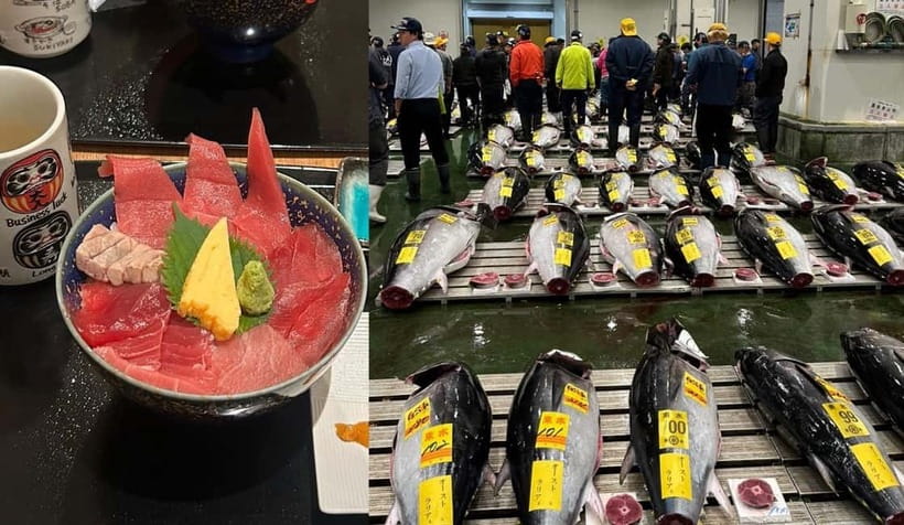 Tokyo Toyosu Tuna Auction + Breakfast (Sushi Dai or Bentomi) - The auction itself: what you’ll watch and what the guide helps you notice
