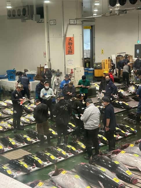 Tokyo Toyosu Tuna Auction + Breakfast (Sushi Dai or Bentomi) - Who this tour suits best, and who should skip it
