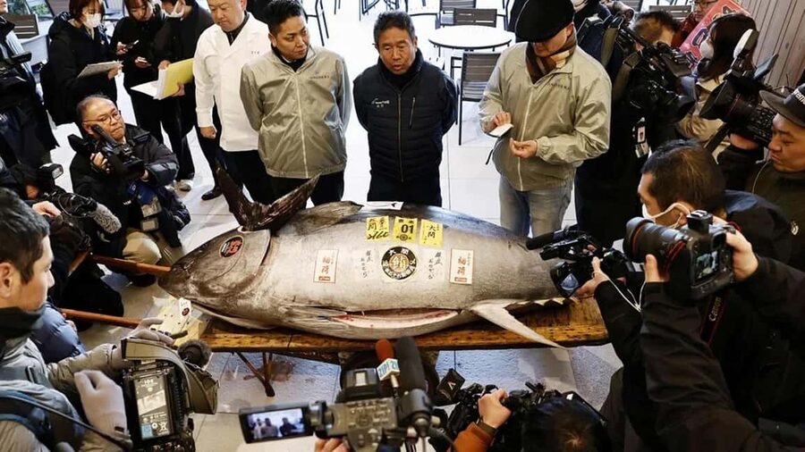 Tokyo: Toyosu Tuna Auction &Tsukiji Market Gourmet Adventure - From Lawson Toyosu to the Observation Deck at 5:00 AM