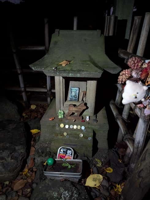 Tokyo: True Crime And Ghost Stories Tour - The Tour’s Middle Move: The Walk From Neon to Something Worse