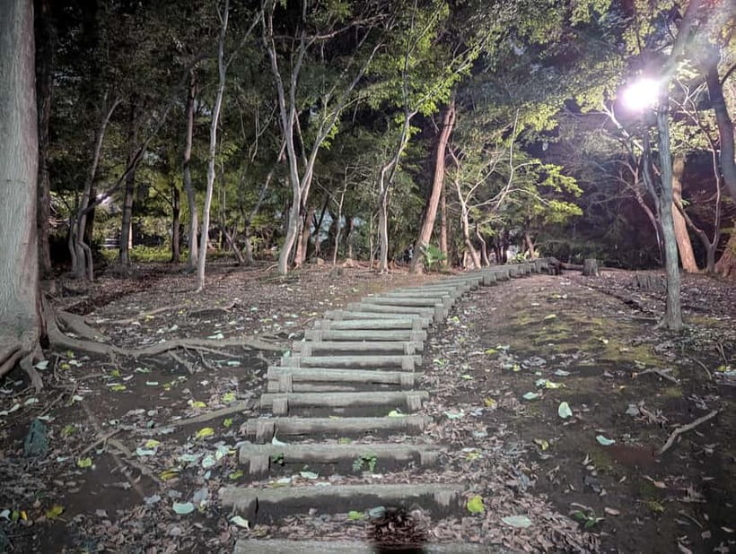 Tokyo: True Crime And Ghost Stories Tour - Toyama Park: The Unit 731 Shadow and Ghost Stories With a Moral Gravity