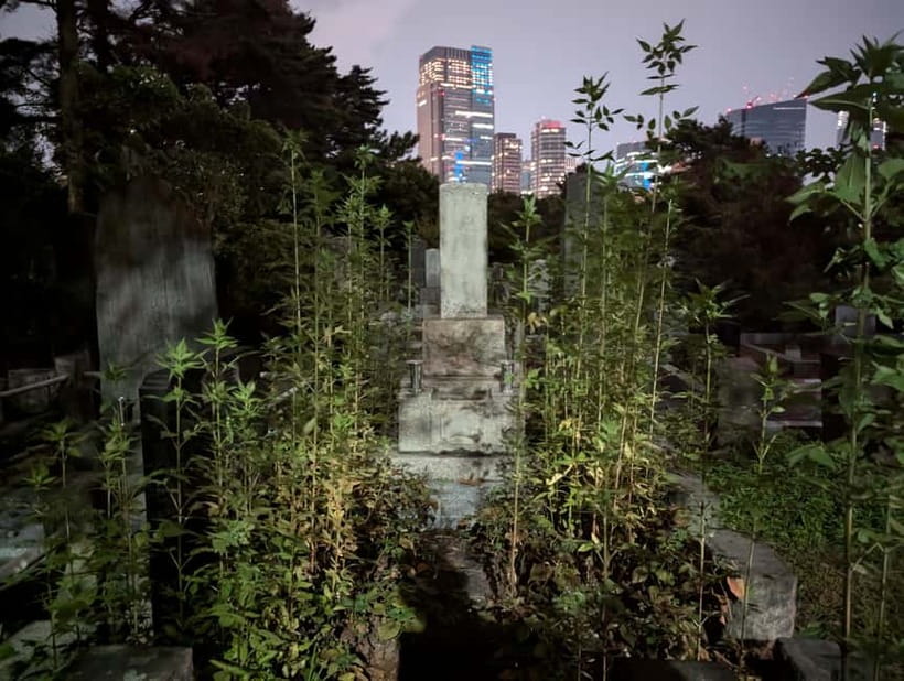 Tokyo: True Crime And Ghost Stories Tour - Price and Value: Is $35 Worth 3 Hours of Tokyo Noir?