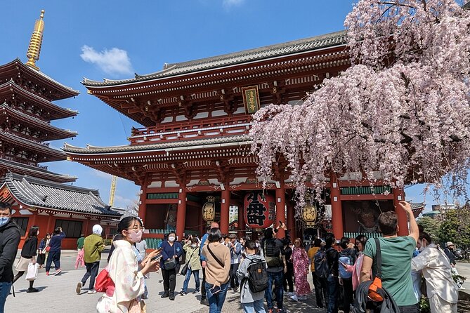 Tokyo VIP Guided Private Car Tour with Optional Airport Transfer - Key Highlights You’ll Feel Right Away