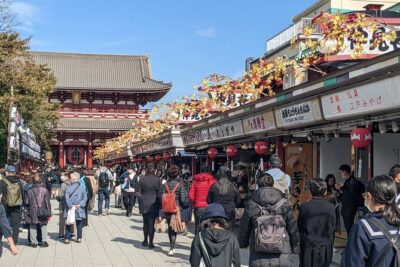 Tokyo VIP Guided Private Car Tour with Optional Airport Transfer