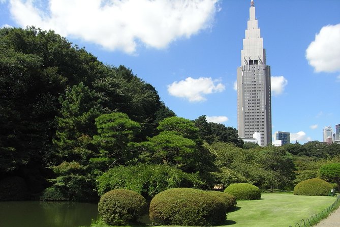 Tokyo VIP Guided Private Car Tour with Optional Airport Transfer - Tsukiji Outer Market: A Food and Photo Stop You Can Keep Flexible