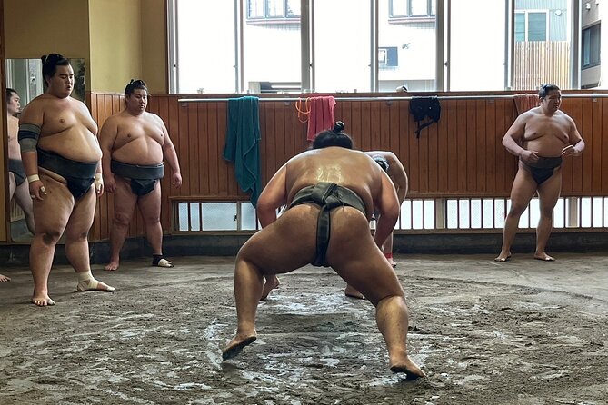 Tokyo: Visit Sumo Morning Practice with English Guide - Inside Takasagobeya: what the training session actually looks like