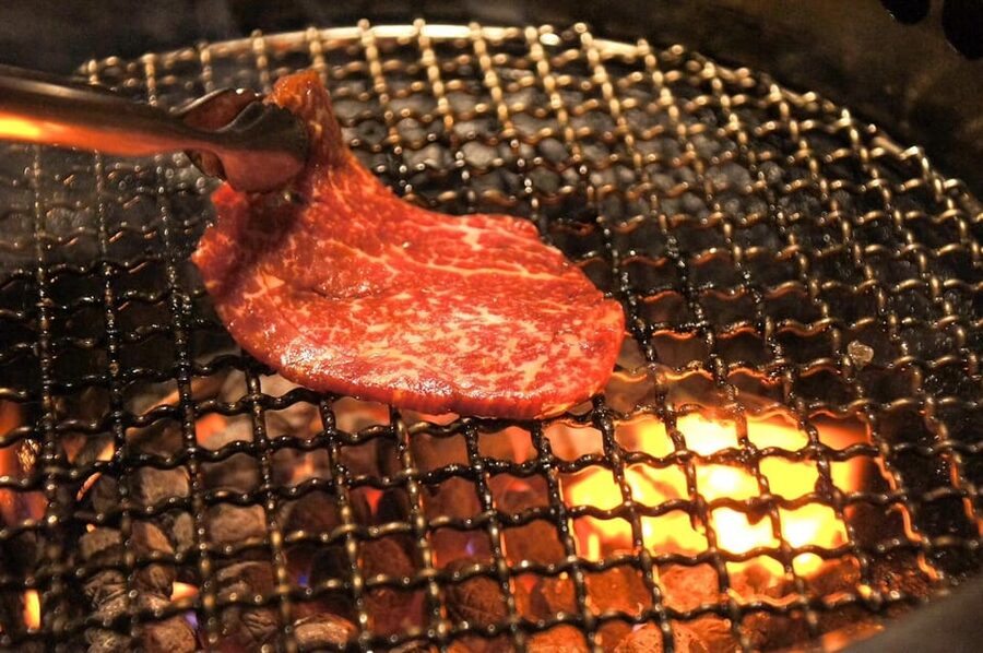 Tokyo: Wagyu and Sushi Gastronomic Journey - Kabukicho: neon chaos, explained in a food-first way