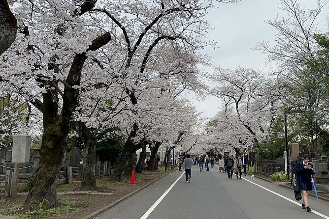 Tokyo : Yanaka and Nezu-Old Traditional Town Cultural Experience - Nezu neighborhood walk: old and new side by side