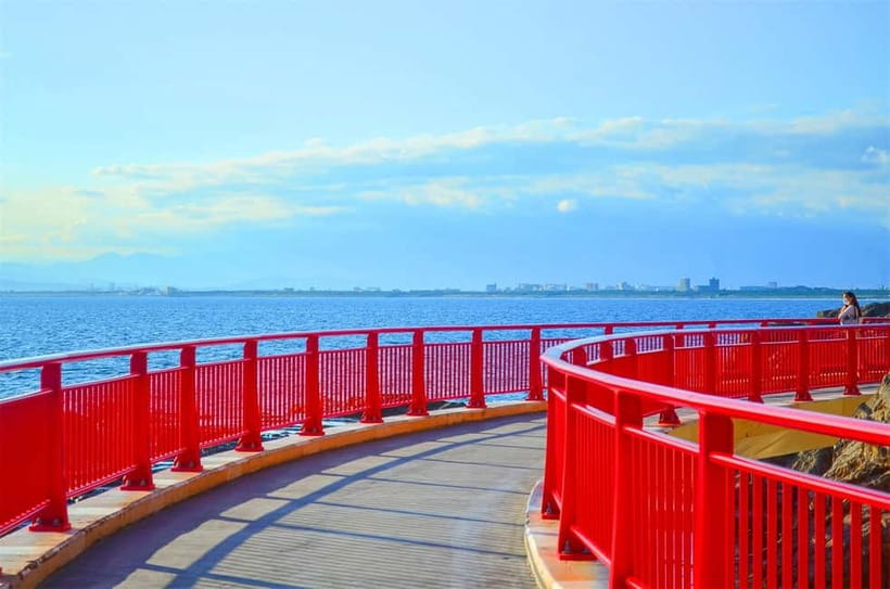 Tokyo Yokohama Night View Tour With Kamakura And Enoshima - Key Points at a Glance