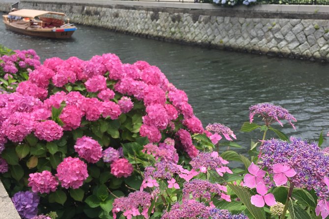 Tour around Matsue Horikawa - Matsue Castle moats, 17 bridges, and the roof-lowering moment