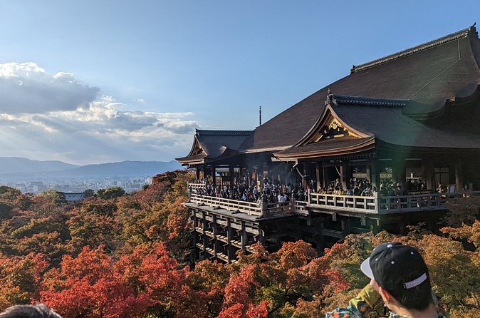 Tour in Kyoto with a Goverment Certified Tour Guide - Nijo Castle and the Admission You Must Plan For