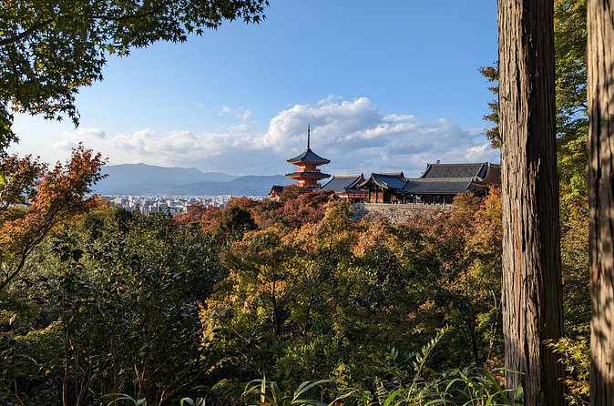 Tour in Kyoto with a Goverment Certified Tour Guide - Kinkaku-ji (Golden Pavilion) and the Built-In Wow Factor