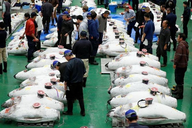 Toyosu Market Morning Tuna Auction and Tsukiji Food Tour with Licensed Guide - Toyosu Market Stop: The Part Where a Guide Saves You Time