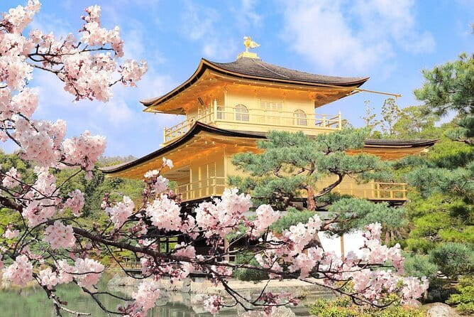 Traditional Japanese Music show & Experience Tour in Osaka - Photo Time That Actually Works for Souvenirs
