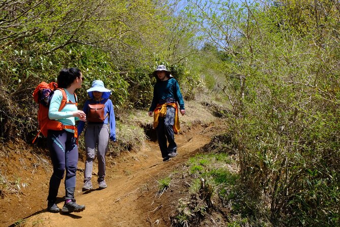 Traverse Outer Rim of Hakone Caldera and Enjoy Onsen Hiking Tour - Togendai Lunch: Eat First, Wander Less