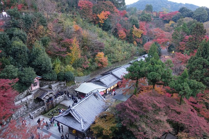 TREASURES of Kyoto: Fushimi Inari, Kiyomizu Temple, and more! - Small-group format: why max 12 is a big deal