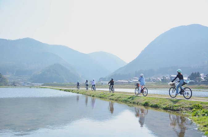 Tsuwano Cycling Tour with Local Guide - Price and value: why $99 can feel like a bargain here