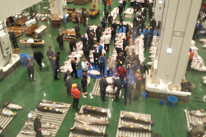 Tuna auction at Toyosu Market with qualified guide and early morning tour of Tsukiji Outer Market - Toyosu Plus Tsukiji: The Seafood Morning Combo That Actually Works
