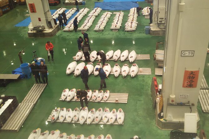 Tuna auction at Toyosu Market with qualified guide and early morning tour of Tsukiji Outer Market - Timing, Transfers, and How Not to Waste Your Morning