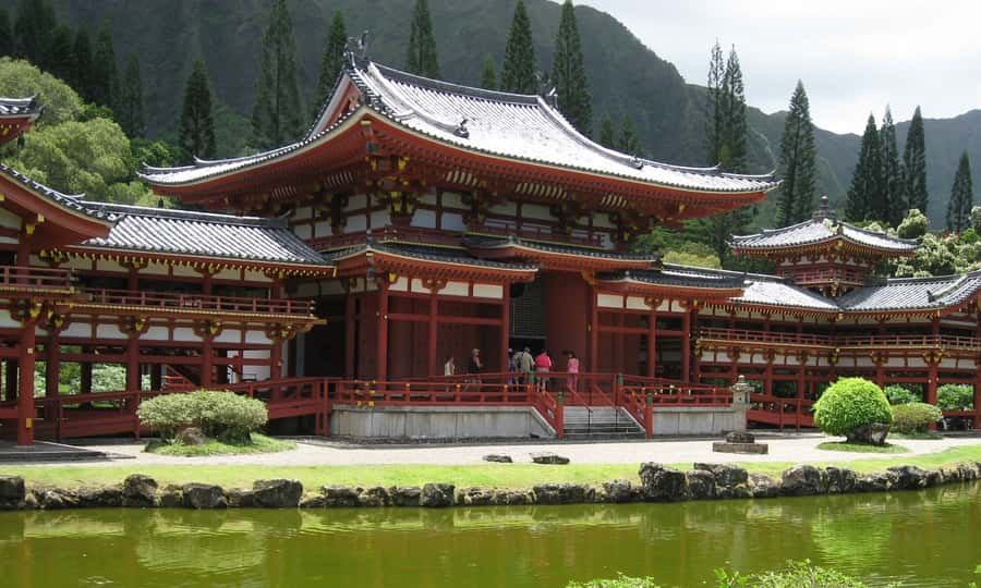 Uji: Green Tea Tour with Byodoin and Koshoji Temple Visits - Key things to know before you go
