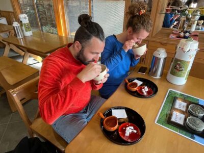Uji: Green Tea Tour with Byodoin and Koshoji Temple Visits