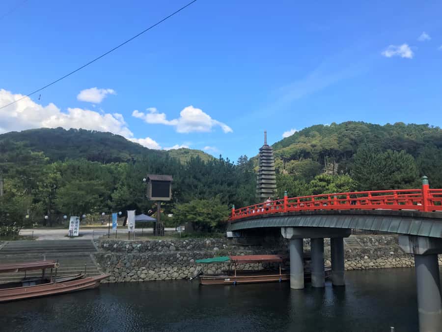 Uji: Green Tea Tour with Byodoin and Koshoji Temple Visits - Price and value: what $111 buys you in Uji
