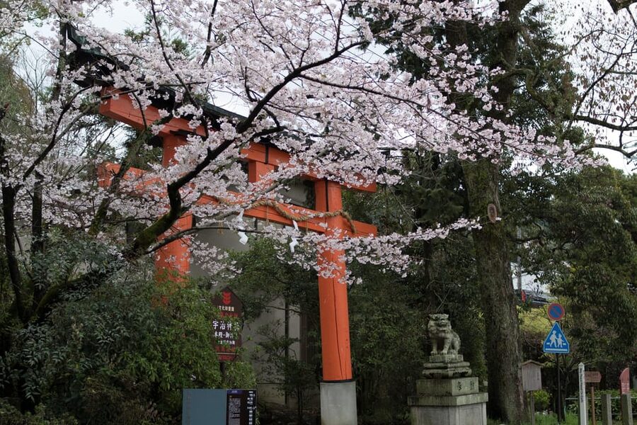 Uji: UNESCO Heritage & Tea Ceremony Walking Tour - Key things you will love about this Uji experience