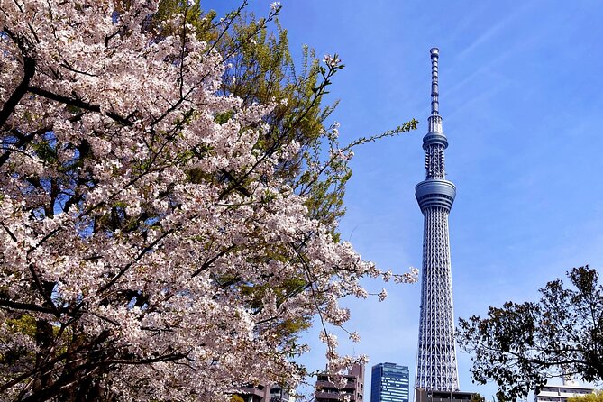 Unlock Hidden Tokyo: Private Custom Tour with a Local guide - Ginza in 30 minutes: shop smart, not everywhere