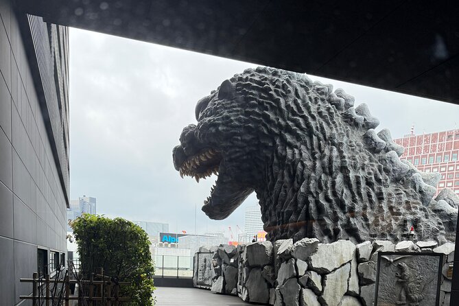 Variety of Tokyo or Yokohama Tours Customizable and Memorable - Tokyo and Yokohama on Foot, with a Human Guide in Charge