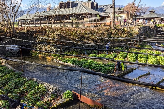 Wasabi Farm Walking Tour & Lunch - Wasabi Ice Cream: What to Expect and How to Avoid a Surprise
