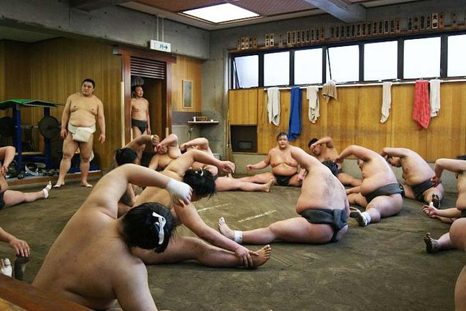 Watch Sumo Morning Practice at Stable in Tokyo - Floor seating is the main deal, so plan for comfort