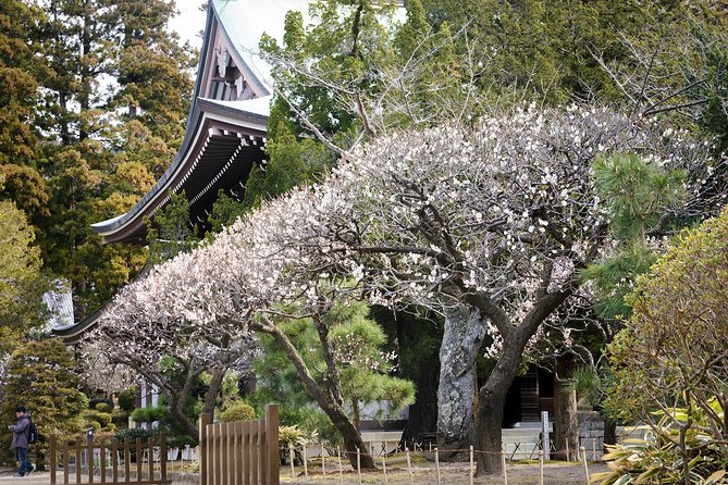 When Emperors Reigned and Shoguns Ruled - Kotoku-in (Great Buddha): Iconic 13th-Century Bronze and One Added Admission
