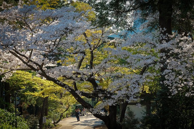 When Emperors Reigned and Shoguns Ruled - Photographer Guide Time, How to Get Great Shots Without Wasting Your Moment